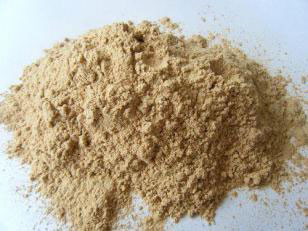 ��ľ�ۏS��