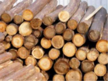 ľ�ĿƼ��ڿɳ��m(x��)�е�����