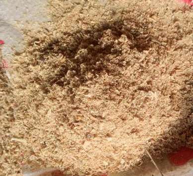 ��ľ�۵ăr(ji��)�������Ӱѿص�