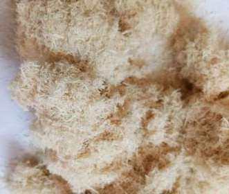 ���ȥ��ľ�w�S���еļ�ȩ