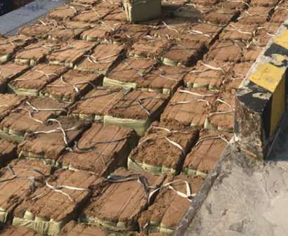 ����ľ�w�S���\(y��n)ݔ?sh��)Ĵ�����B