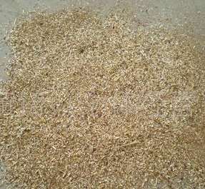 ��ľ�۵��|��Ҫ��ΰѿ�