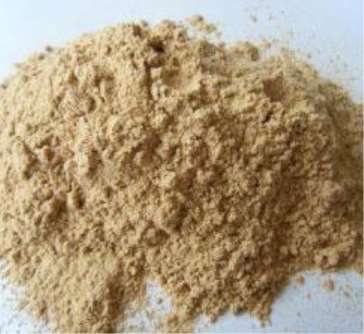 ��ľ��Ͷ��a�I���õ����