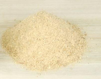 �sľ�۵���̎�Ƿǳ����