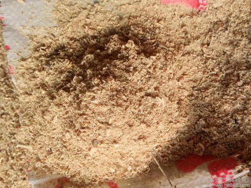 ��ľ�۵ğ�ֵ